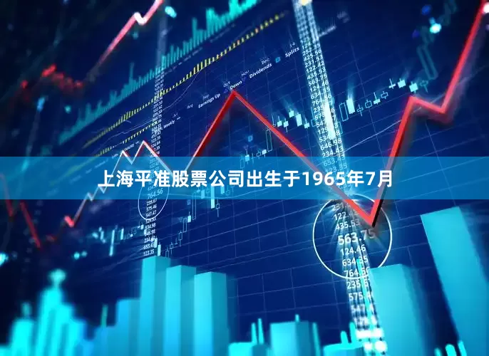 上海平准股票公司出生于1965年7月