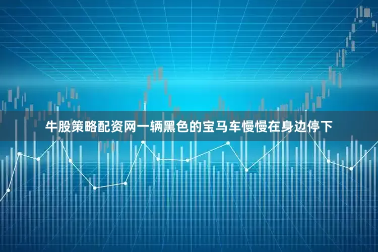 牛股策略配资网一辆黑色的宝马车慢慢在身边停下
