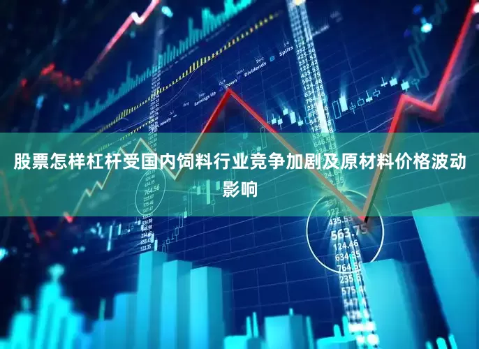 股票怎样杠杆受国内饲料行业竞争加剧及原材料价格波动影响
